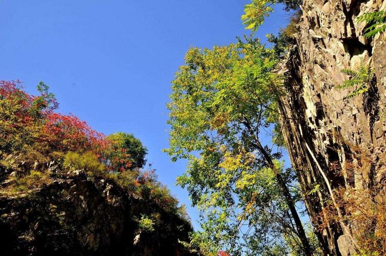 秋季山東登高必玩/必看的大自駕游好去處推薦，來山東一定要去去的景點(diǎn)推薦