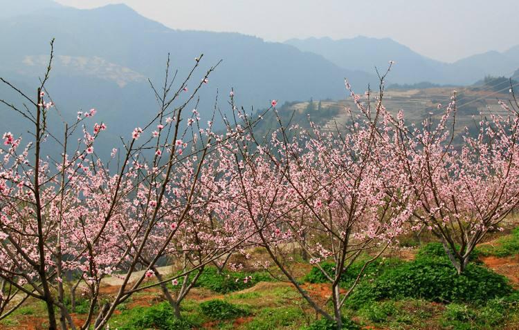 國慶浙江青田自駕游去哪里好玩，青田出發(fā)自駕2日游好去處攻略推薦