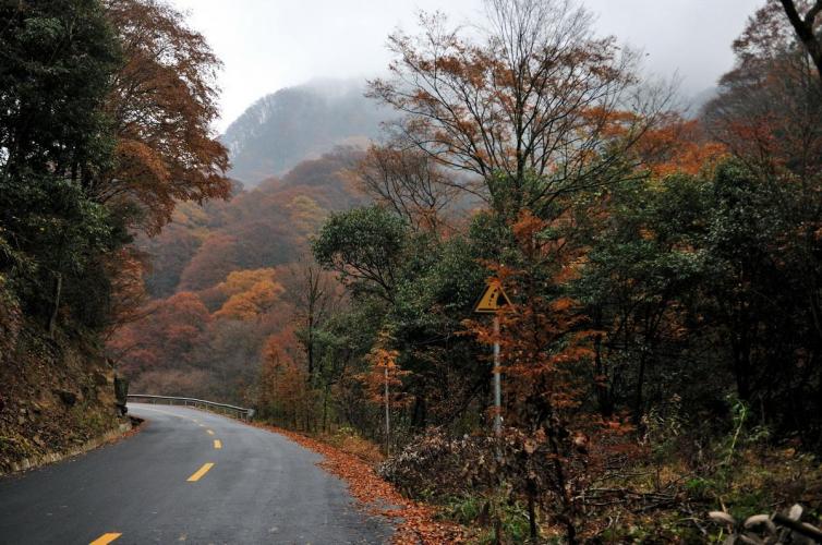 光霧山紅葉自駕游各景區(qū)介紹/游玩攻略，光霧山紅葉自駕游線路推薦(超詳細(xì)版)