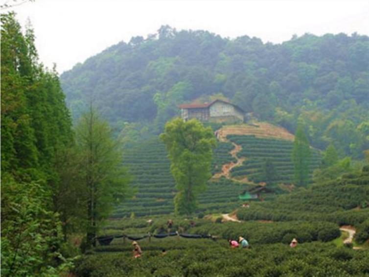 上海周邊自駕游新去處推薦，大清谷生態(tài)自駕游攻略你想知道的全在這里！