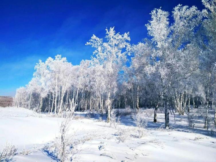 12月國內(nèi)自駕游去哪好玩?冬天國內(nèi)最美的8個地方滿足你對冬天所有的幻想