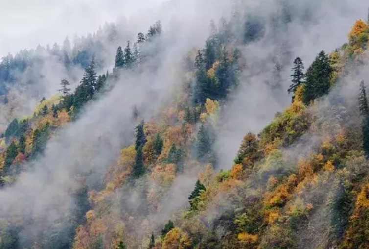 成都出發(fā)阿壩州最美川西自駕游路線推薦，賞彩葉林里最美的私藏—藏寨！