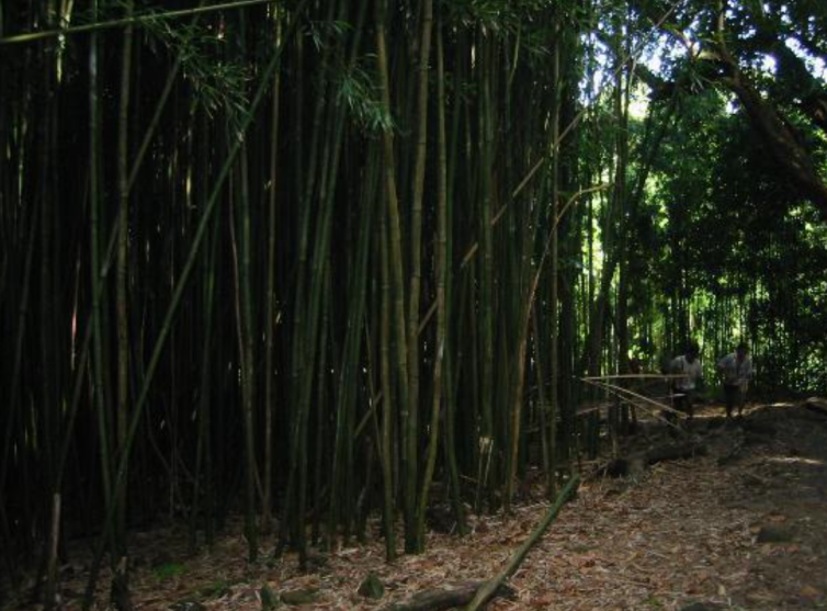 蘭州自駕游最適合拍照的的6個景點，甘肅蘭州自駕游有哪些景點推薦