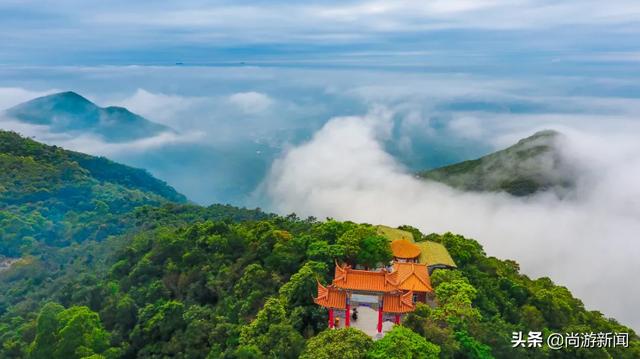 廣東觀音山下好森林康養(yǎng)生態(tài)旅游先手棋