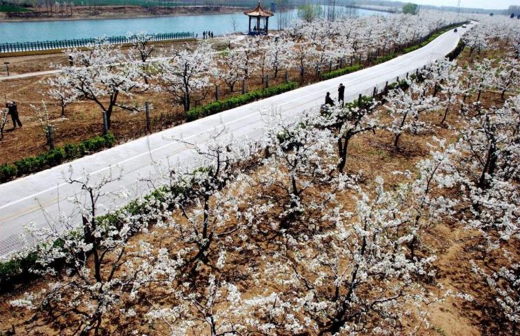 山東陽信周邊這4個自駕游景點最值得一去，陽信出發(fā)自駕游最佳景點攻略推薦