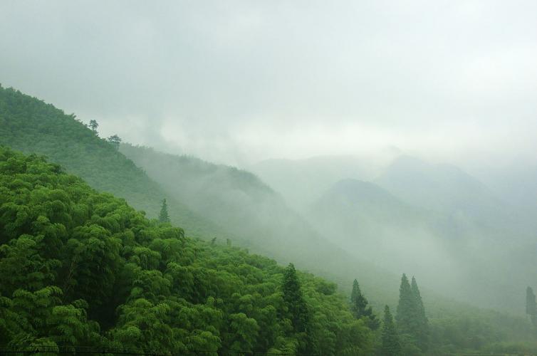 秋天上海出發(fā)自駕游去哪兒好玩，7個(gè)上海周邊自駕游最佳線路景點(diǎn)攻略推薦