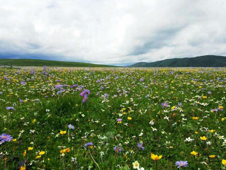 6月四川省內(nèi)自駕游去哪里好玩？6個(gè)最美自駕游好去處夠你玩整個(gè)夏天