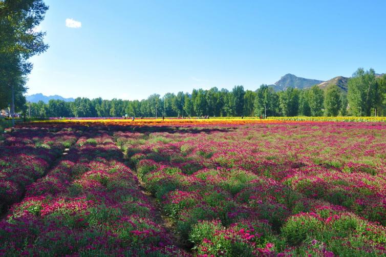 五一北京出發(fā)周邊3個(gè)安靜景美自駕好去處推薦，北京自駕游好玩線路推薦