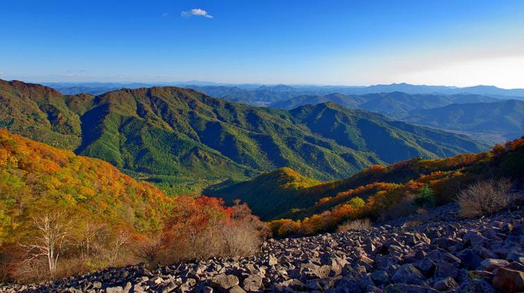 沈陽出發(fā)16個最適合觀鳥賞景自駕游線路攻略，沈陽周邊自駕游去哪兒好玩