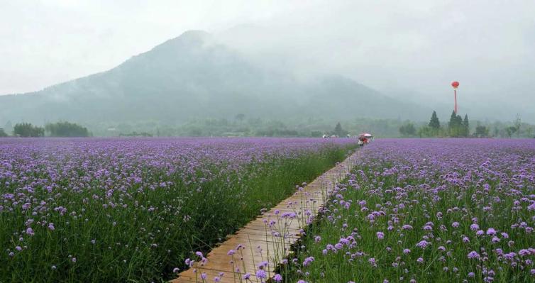 浙江麗水5個自駕游好玩景點、美食推薦，浙江周邊自駕游去哪兒好玩景點推薦