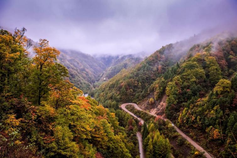 8個(gè)成都周邊自駕游賞紅葉盛宴時(shí)間/門票/線路最詳細(xì)攻略，秋季成都周邊看紅葉去哪好玩