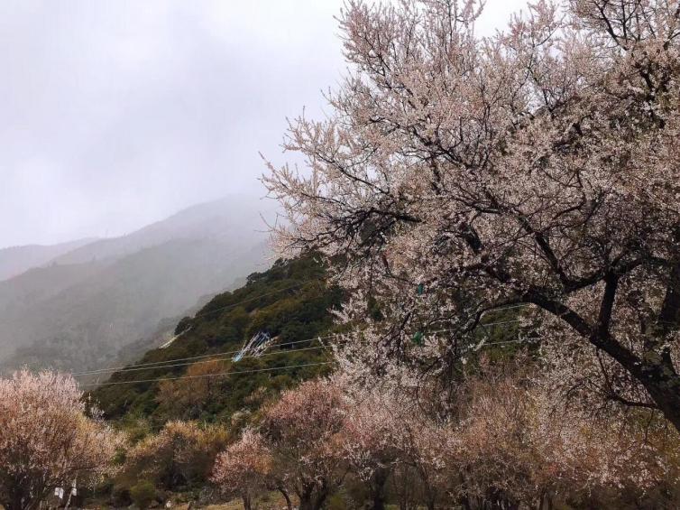 云南出發(fā)到西藏7天自駕游線路攻略，云南到西藏自駕游怎么走?