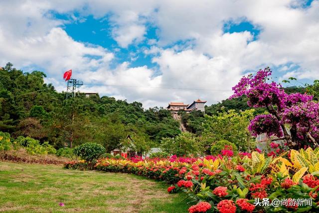 廣東觀音山下好森林康養(yǎng)生態(tài)旅游先手棋