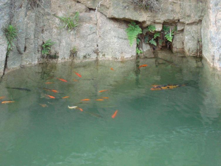 周末青島自駕游去哪里好玩，8個青島周邊逃離都市生活濕地自駕游美景游玩攻略