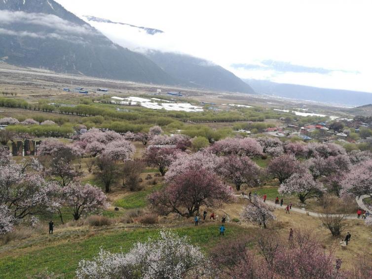 中國自駕游必去的5個(gè)地方推薦，春天國內(nèi)自駕游最受歡迎好去處推薦