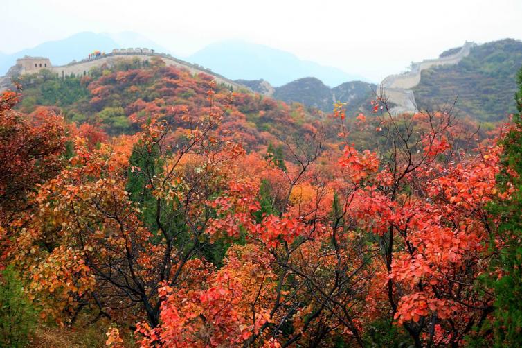 周末北京自駕游去哪里好?八達(dá)嶺森林公園游玩攻略推薦