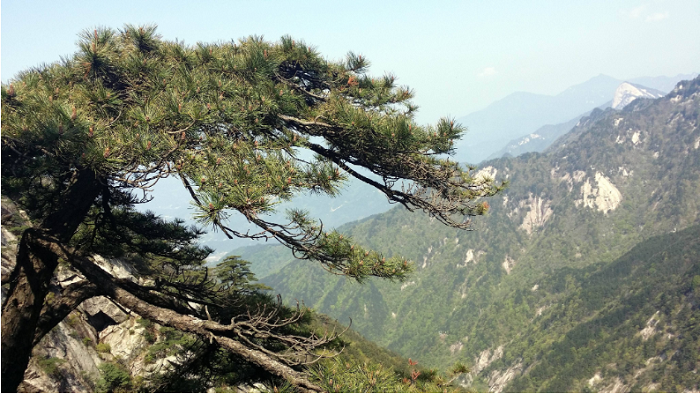 黃岡周邊1-2天自駕游去哪兒好玩，周末黃岡周邊自駕游好去處推薦