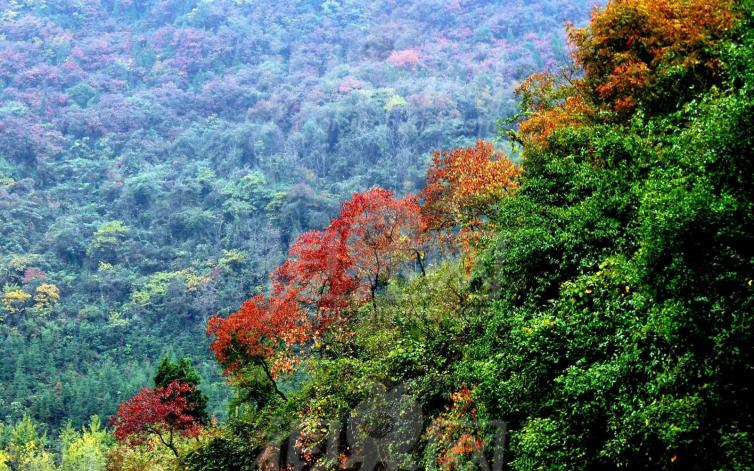 秋季山東登高必玩/必看的大自駕游好去處推薦，來(lái)山東一定要去去的景點(diǎn)推薦