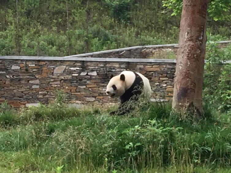 成都周邊7個冷門自駕游目的地推薦，秋天成都風(fēng)景極美的好去處攻略