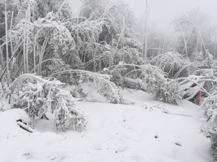 1月湖南周邊自駕游滑雪好去處推薦，湖南周邊冬天一定要去的目的地攻略