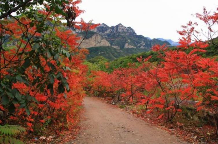 十一石家莊出發(fā)自駕游去哪里好玩，5個(gè)石家莊周邊登山感受自然自駕游攻略