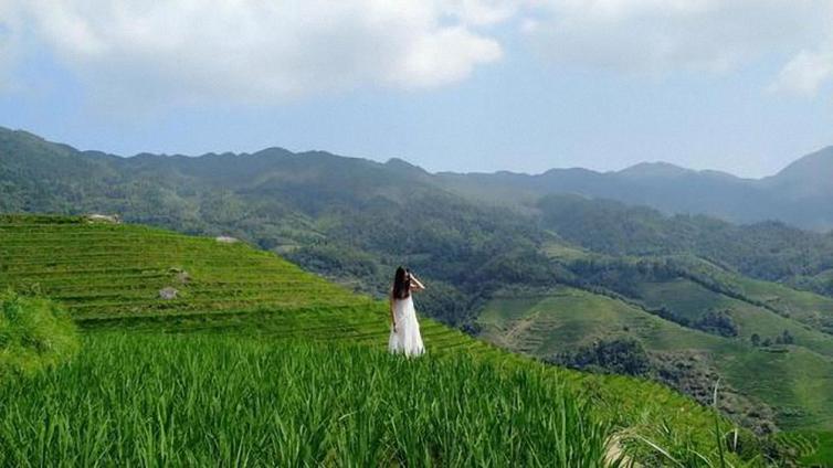 鳳凰出發(fā)至桂林龍脊梯田自駕游游玩攻略，住山頂看日出感受自然之美