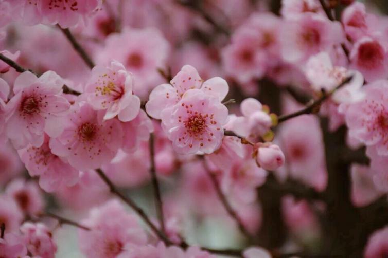 2月國內(nèi)適合夏天自駕游的好去處，6個初夏美景等你來看