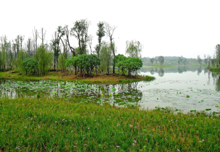 湖南常德自駕游去哪里好玩，4個(gè)不容錯(cuò)過(guò)的景點(diǎn)給你的旅行帶來(lái)好心情