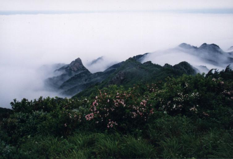 威海自駕游好去處推薦，周末威海自駕游去哪好玩，人少/小眾/景美威海自駕游路線攻略