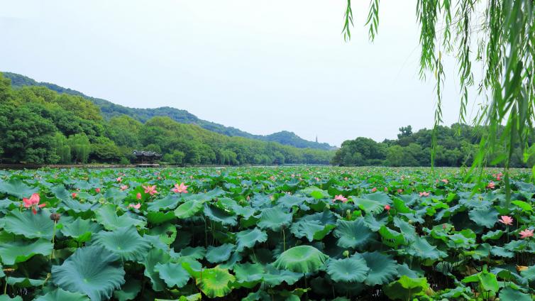 國內(nèi)周邊這7個自駕景點最值得一去，國內(nèi)出發(fā)自駕游最仙氣景點攻略推薦