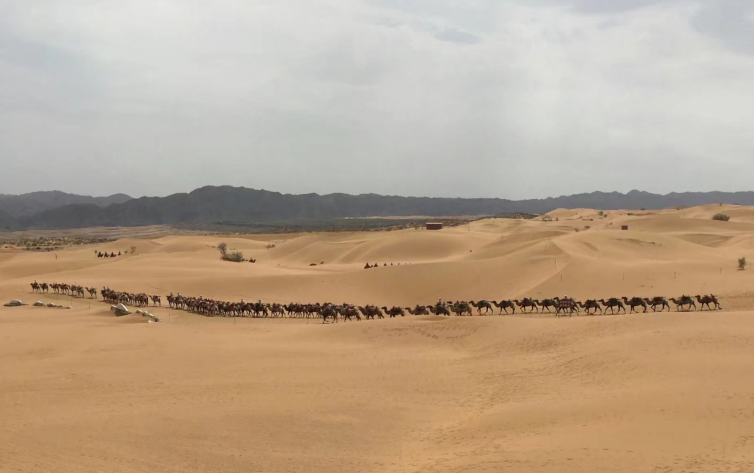 中秋國慶寧夏自駕游景點(diǎn)推薦，關(guān)于寧夏旅游有哪些絕美景點(diǎn)