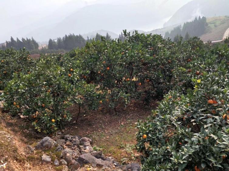 10條成都周邊最具特色自駕游線路推薦，成都周邊自駕游有哪些好玩的