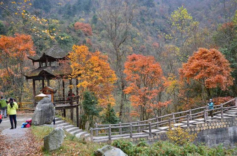 8個(gè)成都周邊自駕游賞紅葉盛宴時(shí)間/門票/線路最詳細(xì)攻略，秋季成都周邊看紅葉去哪好玩