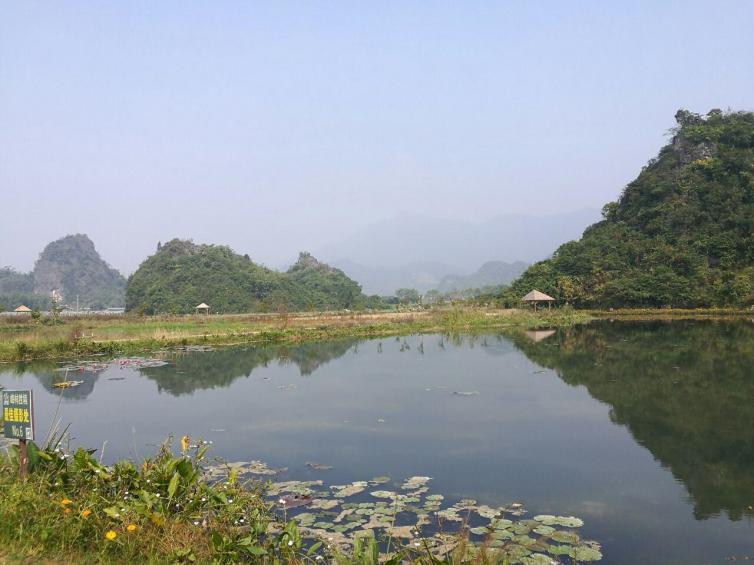 廣東省內(nèi)自駕游經(jīng)典自駕游路線，廣東周邊去哪自駕游好玩