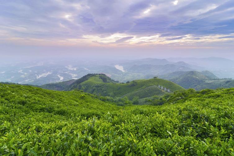 夏季河南省內(nèi)避暑自駕游去哪好玩，5個(gè)河南周邊避暑一定不能錯(cuò)過的美景推薦