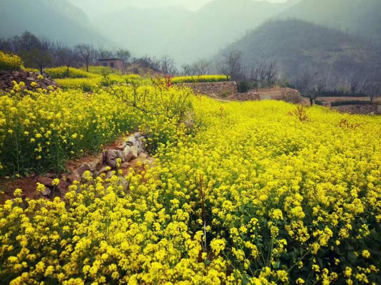 十一石家莊出發(fā)自駕游去哪里好玩，5個(gè)石家莊周邊登山感受自然自駕游攻略