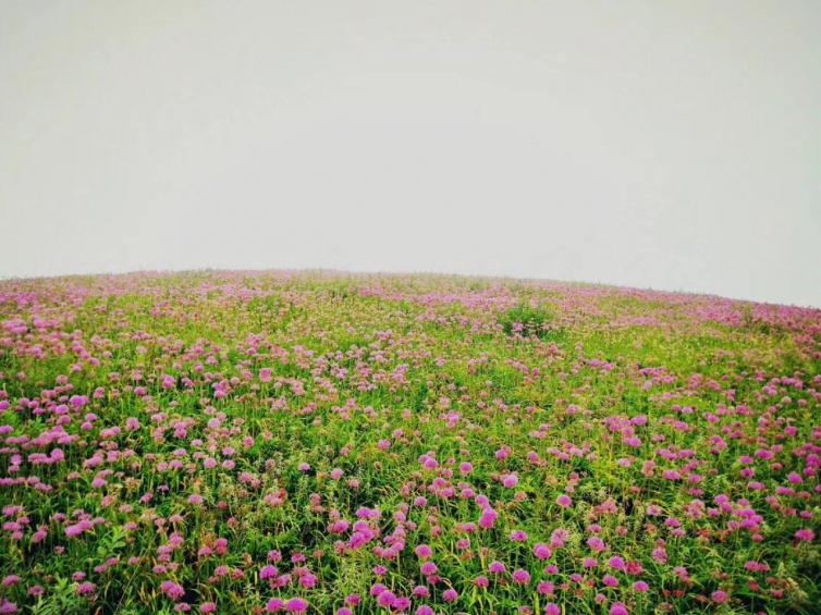 夏天貴州避暑自駕游目的地推薦，讓你清涼一夏的好去處