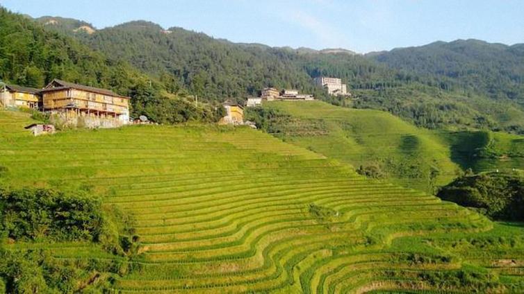 鳳凰出發(fā)至桂林龍脊梯田自駕游游玩攻略，住山頂看日出感受自然之美