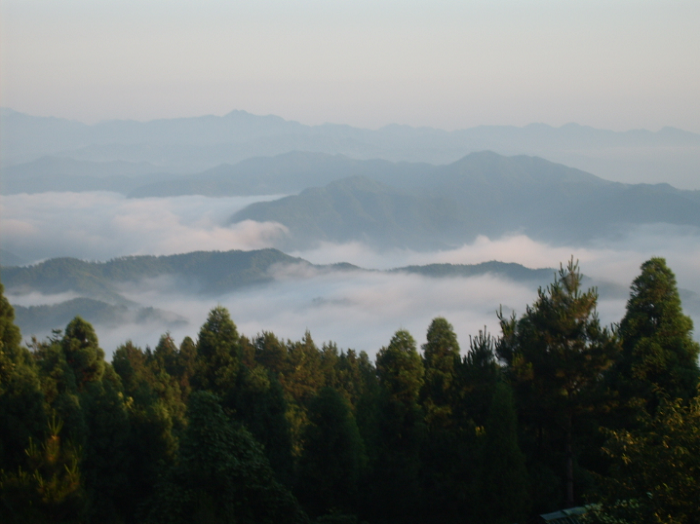 過年襄陽自駕游最適合帶家人一起去的好去處攻略，春節(jié)襄陽自駕游去哪兒好玩？