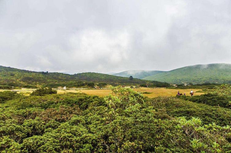 四川攀枝花周邊2自駕游好去處推薦，迷人的四川攀枝花自駕游目的地推薦