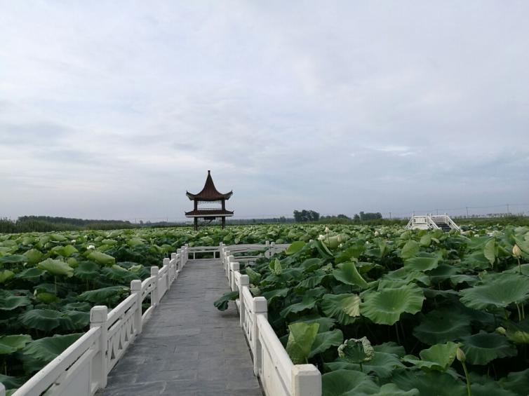 南京周邊自駕游攻略，10個(gè)周末南京出發(fā)周邊自駕游好去處