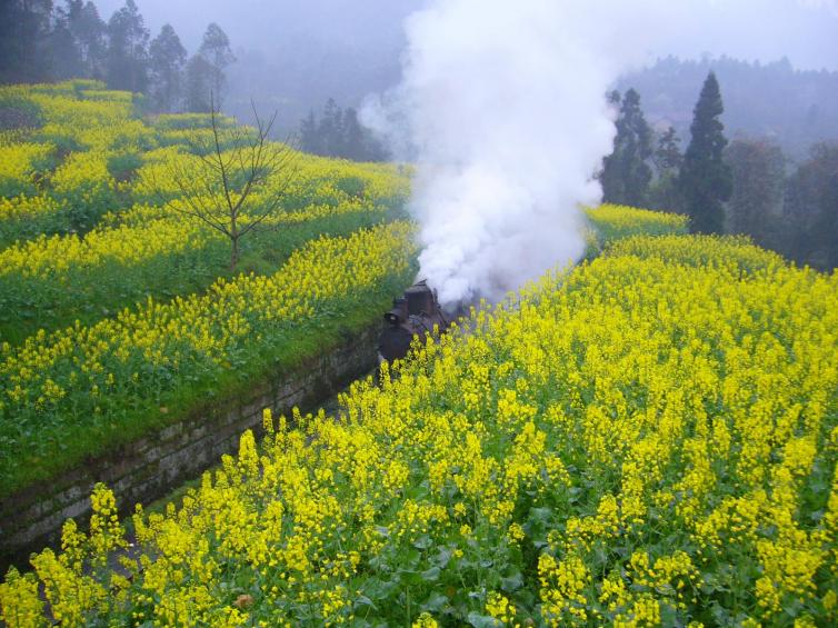 春天國(guó)內(nèi)自駕游必去景點(diǎn)推薦，這些秘境藏著最美的春天