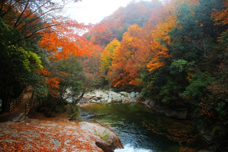 秋天重慶自駕游哪里好玩，4個重慶出發(fā)周邊看紅葉自駕游好去處推薦