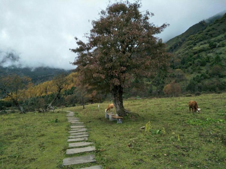 國(guó)慶節(jié)成都出發(fā)自駕游去哪最好玩?6條成都出發(fā)最佳景點(diǎn)線路推薦