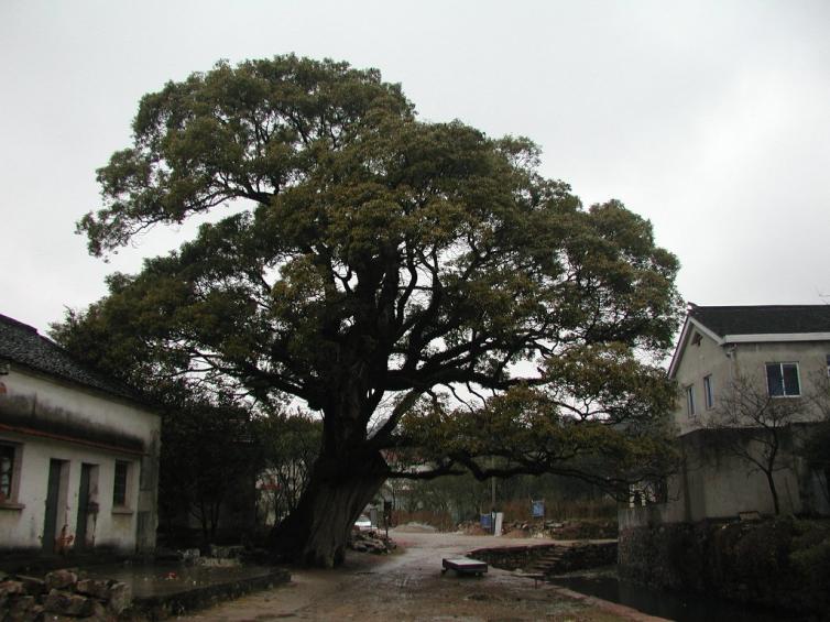 山東出發(fā)自駕游攻略：3月最不能錯過的10個自駕游好地方