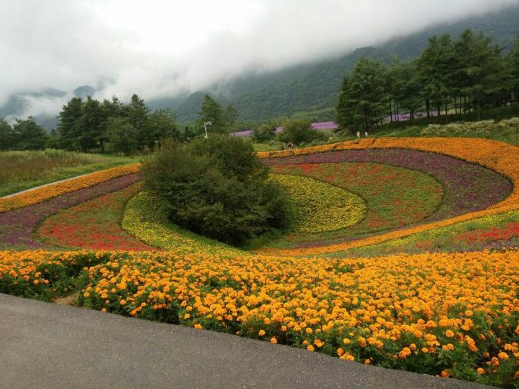 重慶出發(fā)自駕游勝地推薦，重慶周邊風(fēng)景絕佳的自駕游攻略