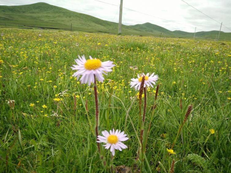 6月四川省內(nèi)自駕游去哪里好玩？6個最美自駕游好去處夠你玩整個夏天