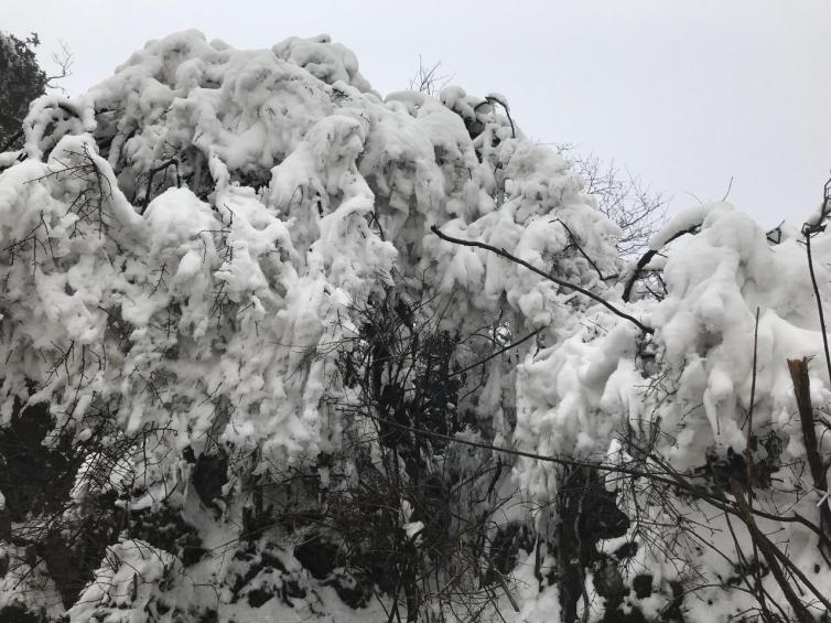 冬天重慶周邊自駕游好去處推薦，體會一把風(fēng)花“雪”月