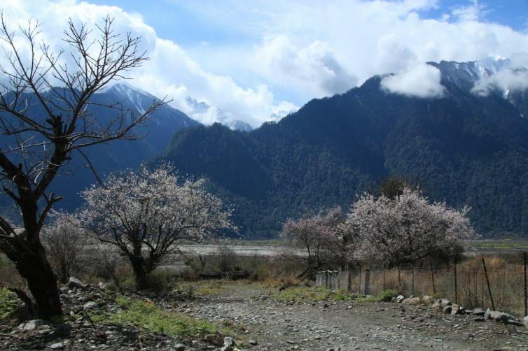 3月國(guó)內(nèi)自駕游去哪好玩?陽(yáng)春三月國(guó)內(nèi)春景不能錯(cuò)過(guò)