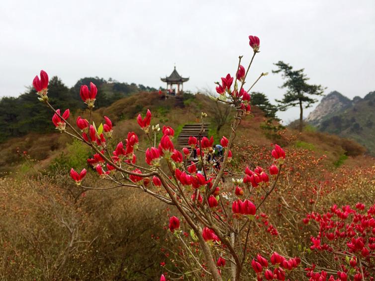 十一假期湖北周邊自駕游去哪兒好玩，5個湖北周邊最美秋景自駕游路線景點推薦